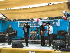 I Kartoons Festival Beat 1995 